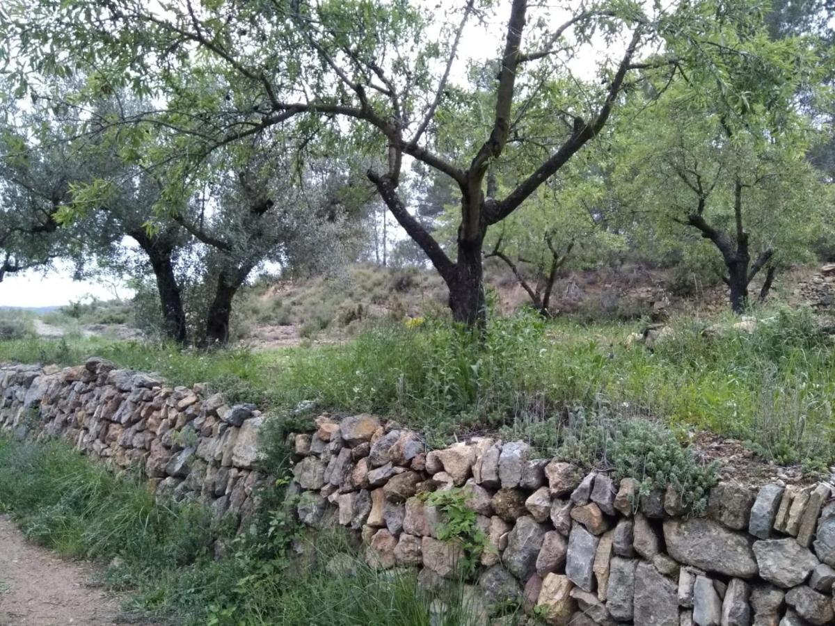 Casa De Amparo Y Jose Manuel Konuk evi Pavies Dış mekan fotoğraf